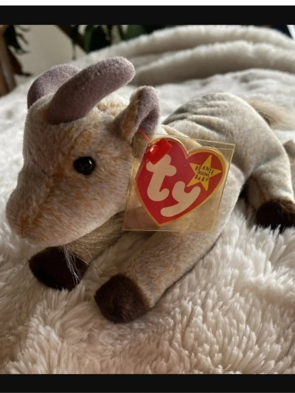 Beanie Baby - Goatee